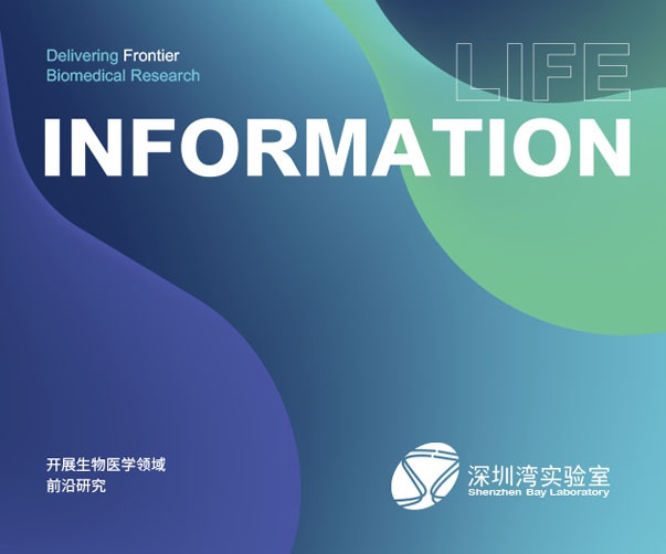 2025年上海品牌設(shè)計公司輕松掌握Logo設(shè)計趨勢